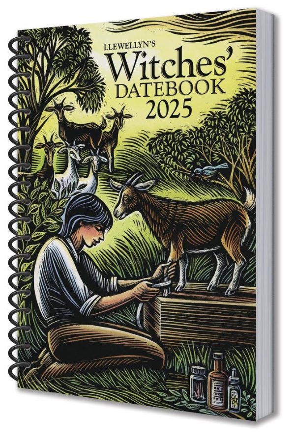 2025 Date Book For Sale