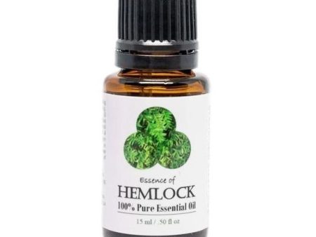 Hemlock Essential Oil Online