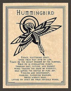 Hummingbird Prayer Page For Cheap