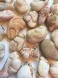 Fairy Stones Online now