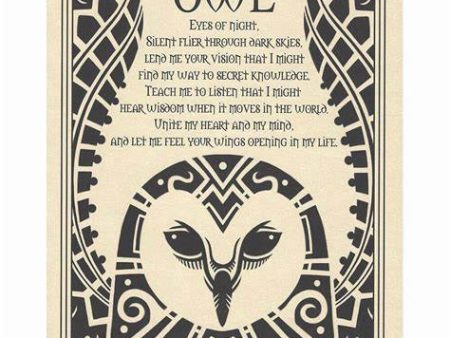 Owl Prayer Page Fashion