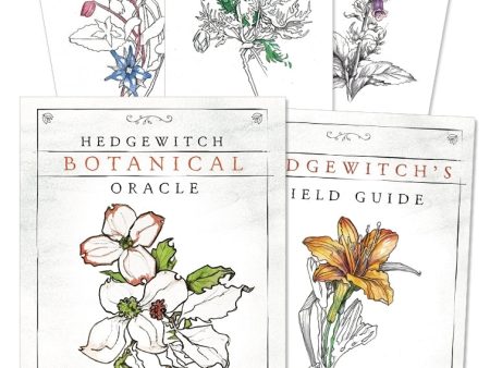 Hedgewitch Botanical Oracle on Sale