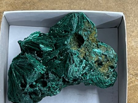 Silky Malachite (Kasompe, Congo) (9) Supply