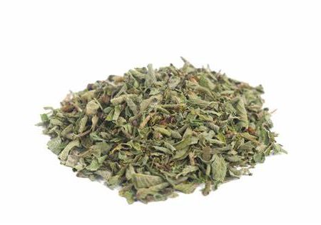 Tulsi (Holy Basil) Hot on Sale