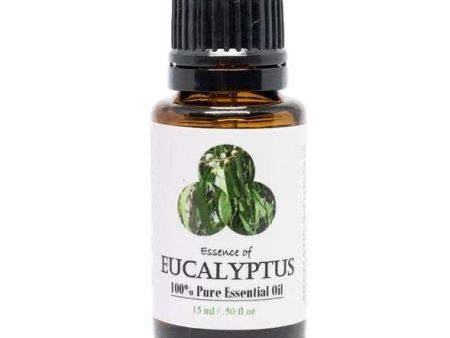 Eucalyptus Essential Oil Online