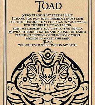 Toad Prayer Page For Cheap