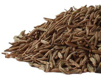 Caraway Seed Cheap