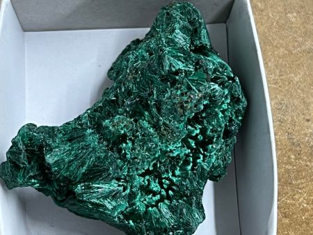 Silky Malachite (Kasompe, Congo) (8) Sale