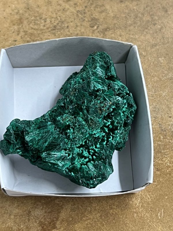 Silky Malachite (Kasompe, Congo) (8) Sale