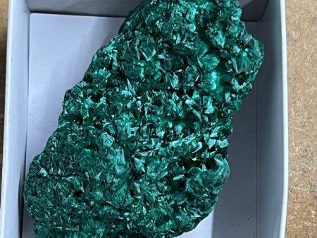 Silky Malachite (Kasompe, Congo) (11) on Sale