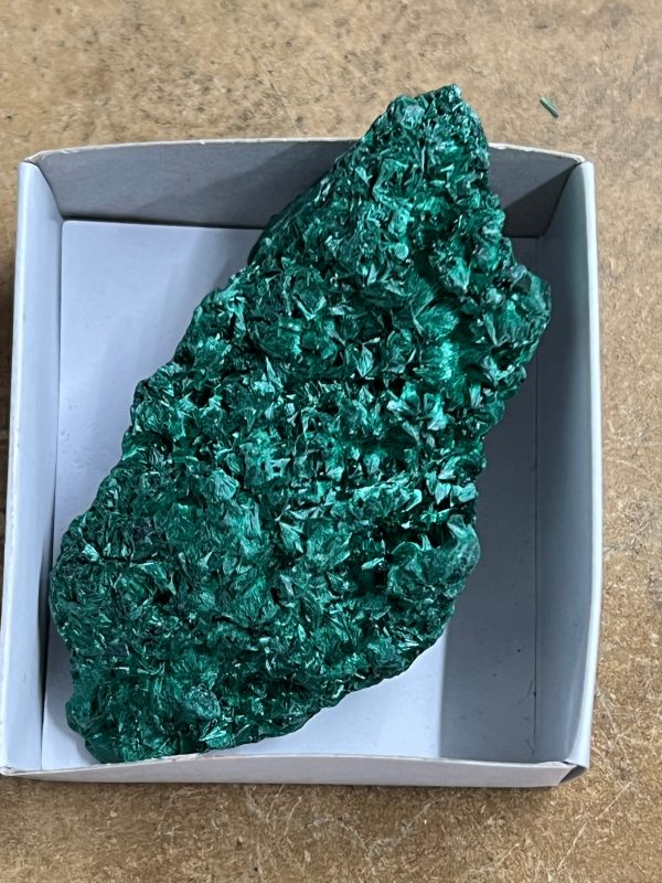 Silky Malachite (Kasompe, Congo) (11) on Sale