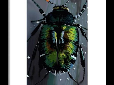 Beetle Focus - Framed Print Hot on Sale