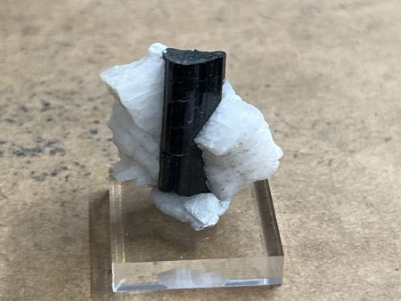 Black Tourmaline Specimen 9 Online