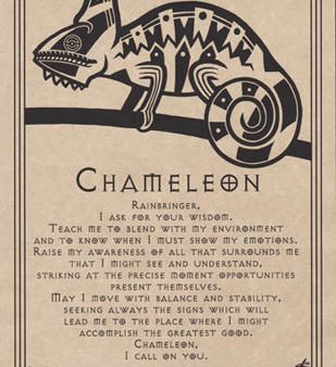 Chameleon Page Online