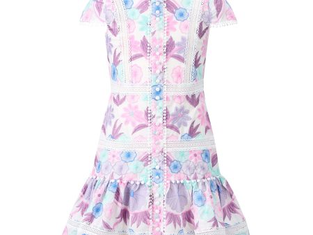 Danielle Embroidered Mini Dress Supply