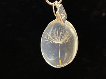 Dandelion Dried Seed Pendant Necklace For Cheap