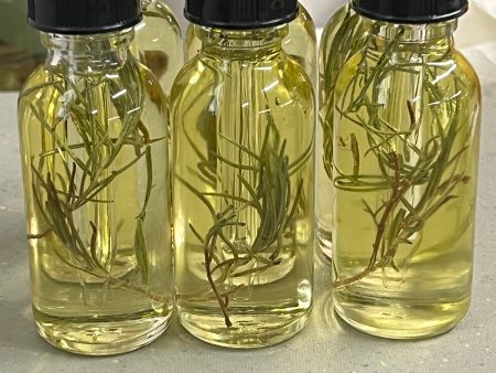 Rosemary Oil Blend Online now