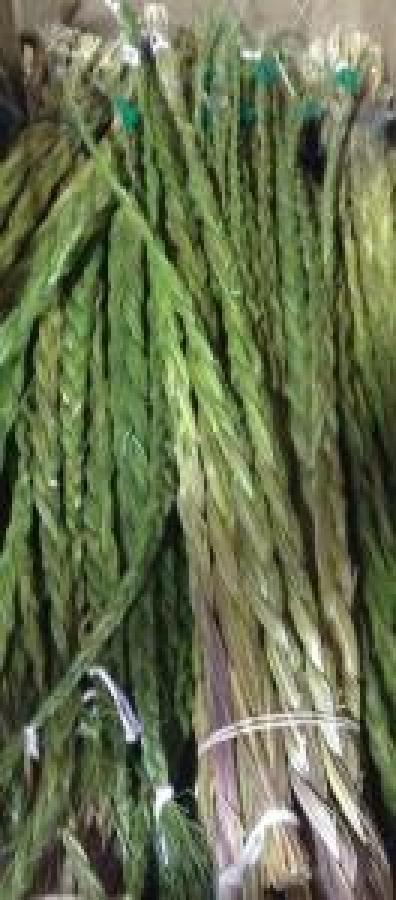 Sweet Grass Sale