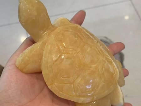 Lg. Calcite Turtle Discount