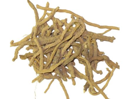 Rattle Snake Root Hot on Sale