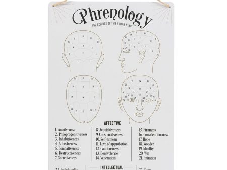 Phrenology Map Sign Online Hot Sale