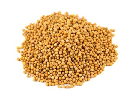 Mustard Seed, Yellow, Organic Online Hot Sale