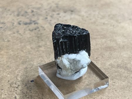 Black Tourmaline Specimen 12 Cheap