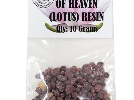 Queen of Heaven Resin Blend Fashion