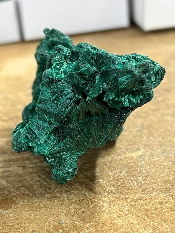 Silky Malachite (Kasompe, Congo) (8) Sale