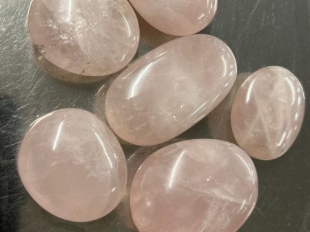 Rose Quartz Palms Supply