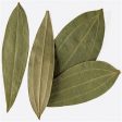 Lg. Cinnamon Leaves Discount