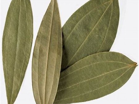 Lg. Cinnamon Leaves Discount