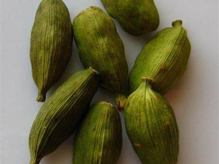 Cardamon Pods, Green, Organic Hot on Sale