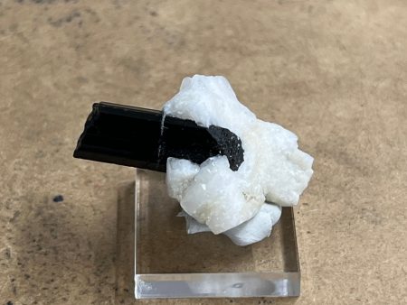 Black Tourmaline Specimen 13 on Sale