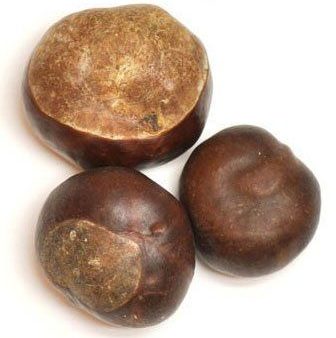 Buckeyes (Whole) Supply