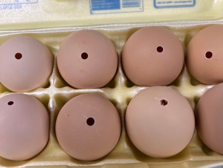 Chicken Egg with Hole Online Sale