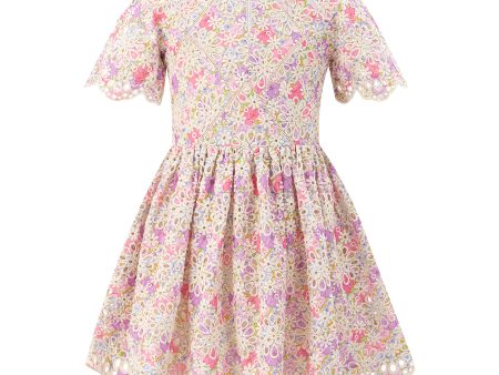 Charlotte Embroidered Mini Dress Online Sale