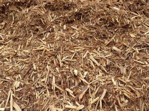 Palo Santo Shavings Online