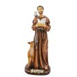 12  St. Francis Assisi For Cheap