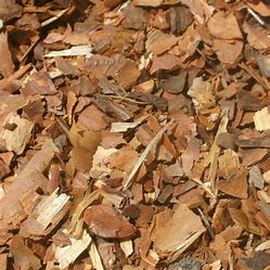 White Pine Bark Cheap